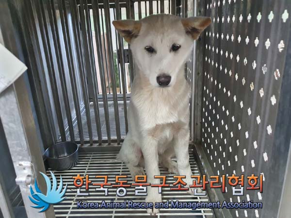 한국동물구조관리협회_441406202402150